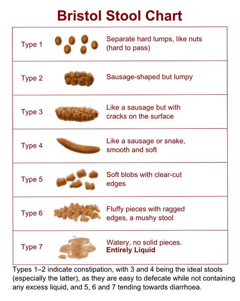 Bristol Stool Chart Uk Of The Decade The Ultimate Guide Stoolz