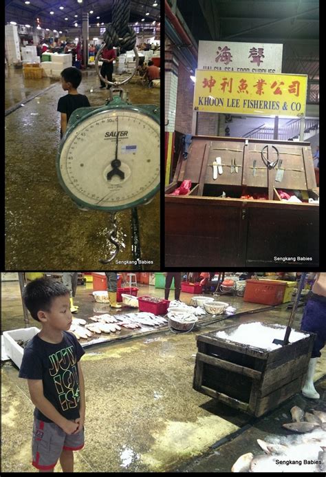 37 jurong port road singapore 619110 24 hours fax: Jurong Fishery port with kids - Sengkang Babies