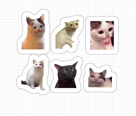 6 Pack Cat Meme Stickers Pack Crying Cat Meme Stickers Meme