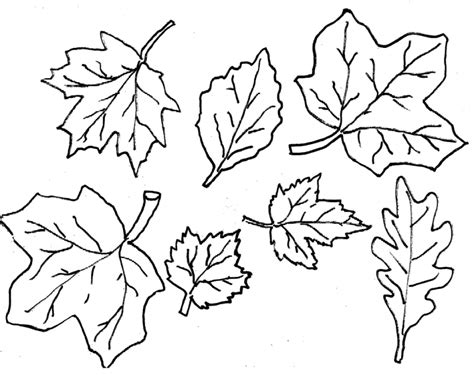 Pile on the crayons and encourage creativity. 20+ Free Printable Fall Leaves Coloring Pages ...