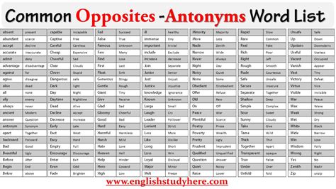 Common Opposites Antonyms Word List English Study Here