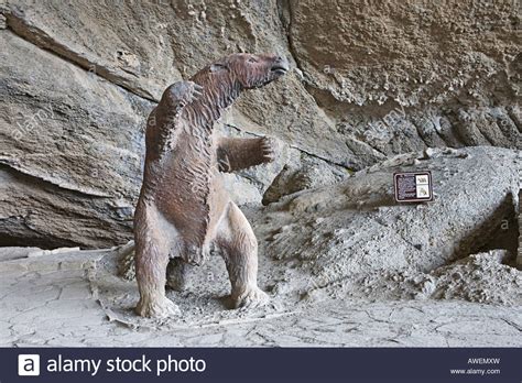Scientists have been trying to solve this prehistoric whodunit for decades, and now, thanks to new radiocarbon dating, they're one step closer to fingering. Model of a Mylodon, giant sloth species native to Patagonia, extinct Stock Photo: 16558848 - Alamy
