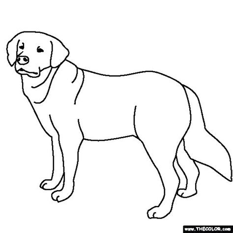Lab Dog Coloring Pages At Getdrawings Free Download