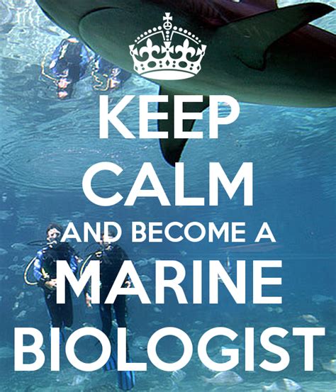 Marine Biology Wallpaper Wallpapersafari