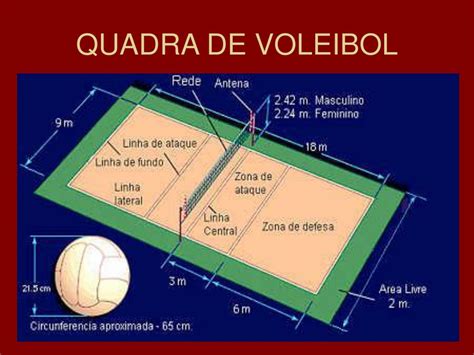 Voleibol Altura Da Rede