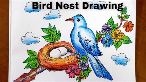 Simple Bird 🕊nest Drawingeasy Bird Painting Step By Stephow To Draw