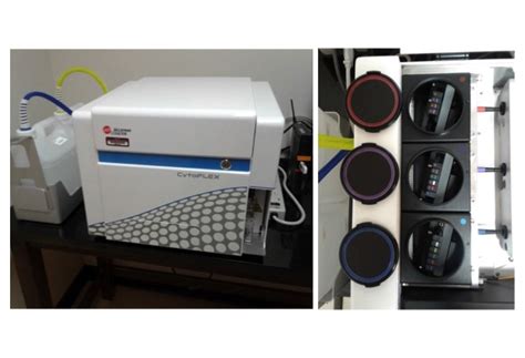 Beckman Coulter Cytoflex Flow Cytometer Biocompare Product Review