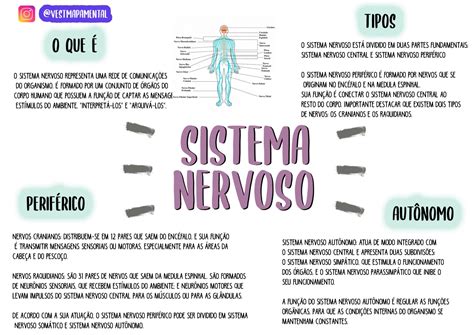 Mapa Mental Sobre Sistema Nervoso Sistema Nervoso Sistema Nervoso My