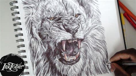 Epic Lion Roar Pen Drawing Inktober Day 2 2017 Youtube