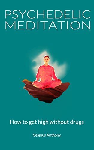 psychedelic meditation how to get high without drugs by seamus anthony goodreads