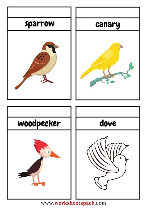 Free Printable Birds Flashcards Pdf Printable And Online Worksheets Pack