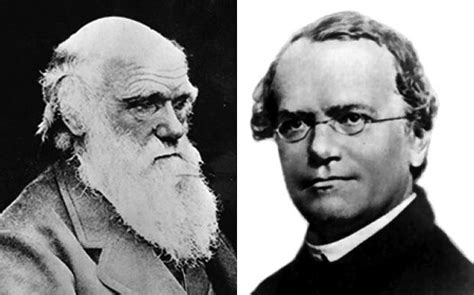 Exam Claims Sex Discovered By Darwin And Mendel Telegraph