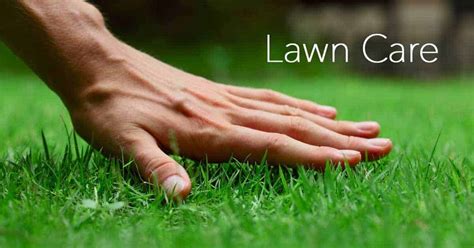 Blue planet would like to thank all the workers at our frontlines who have been working tirelessly to keep our communities safe and healthy. Lawn Care: You Are Not Alone In The Turf War