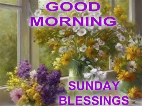 These beautiful sunday wishes and blessing images can be send as simple mobile messages or in whatsapp. Good Morning Sunday Pictures, Photos, and Images for ...