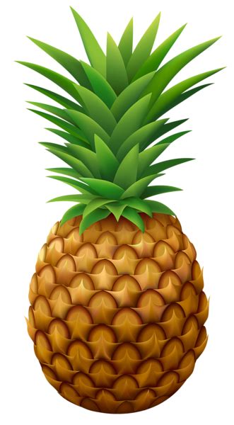 Pineapple PNG Vector Clipart Image | Pineapple images, Pineapple vector, Pineapple