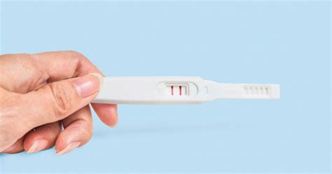 Cara cepat hamil setelah haid selesai apakah bisa hamil jika berhubungan intim setelah haid? Kapan Terjadinya Pembuahan Setelah Berhubungan Badan ...