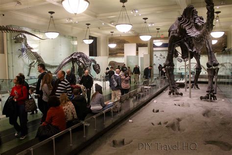 61 Free Museums In Nyc By Day In 2020 Diy Travel Hq Museums In Nyc