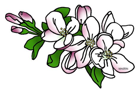 Apple Blossom Leaves Clipart 10 Free Cliparts Download Images On