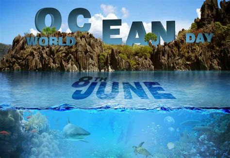 Церковные праздники 8 июня 2021 года. 8 июня - Всемирный день океанов ∞ Лагуна акул