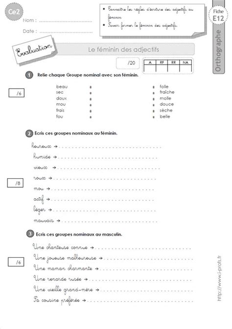 Ce F Minin Des Adjectifs Orthographe Hot Sex Picture