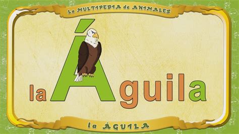 La Multipedia De Animales Letra A La Águila Youtube