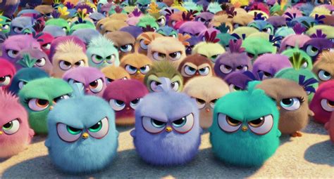 Download The Angry Birds Movie Featuring Angry Hatchlings Wallpaper
