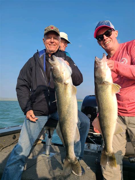 Fort Peck Walleye Fishing Success Montana Hunting And Fishing Information
