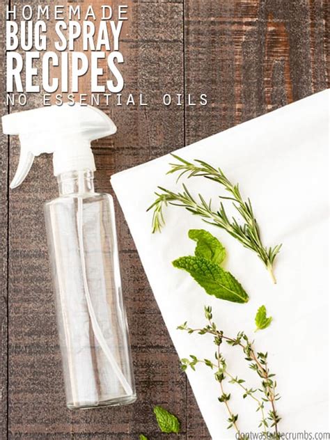 Homemade Bug Spray Recipes All Natural Without Essential Oils
