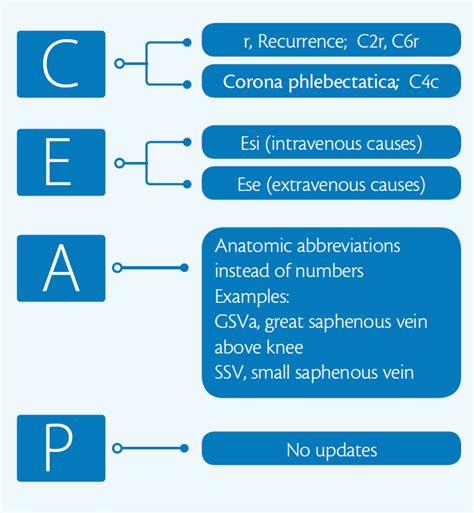 Ceap 2020 Understanding And Applying The Updated Chronic Venous