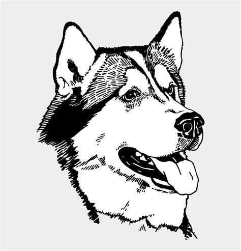 Husky Coloring Pages Cute Husky Puppy Coloring Pages Novocom Top