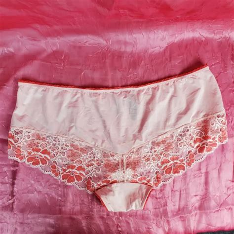 Lace Cheeky Panty Silky Satin Sheer Nylon Panties Plus Size 3x Sexy