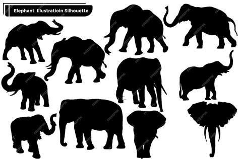 Gran Colección De Siluetas De Elefantes Negros En Diferentes Poses