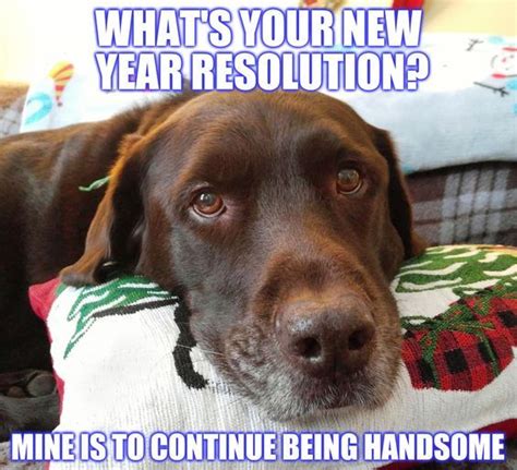 75 Funniest New Year Memes Of All Time To Make You Laugh