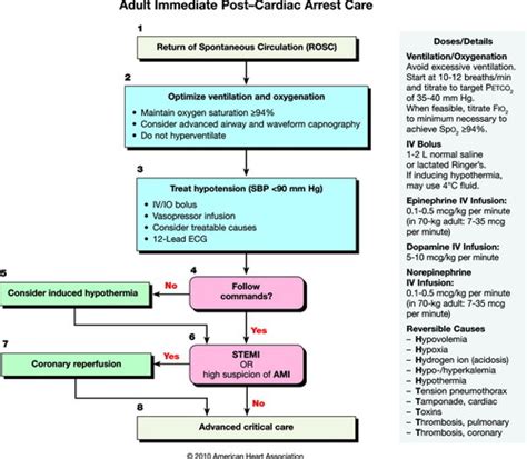 part 9 post cardiac arrest care circulation