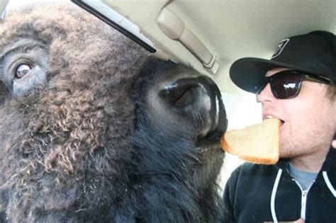 Wtf 22 Of The Weirdest And Most Unexplainable Pictures Ever Bored Panda
