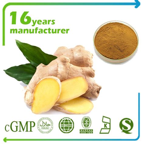 ginger root extract 10 1 tlc hongda online more than 20 years herb extract manufacturer