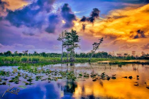 Loxahatchee Slough Wetlands Preserve Palm Beach Gardens Florida
