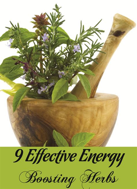 Top 9 Effective Energy Boosting Herbs Healthy Sheet