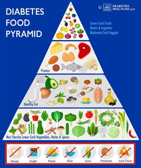 Food Pyramids C5E
