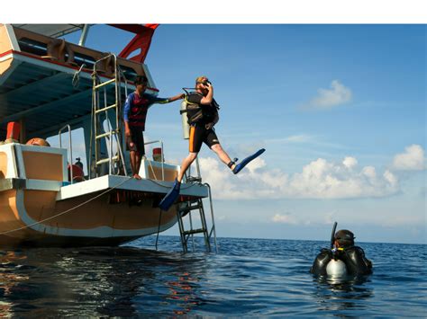 Reasons To Do Your Scuba Diving In Koh Tao Thailand Reckless Roaming