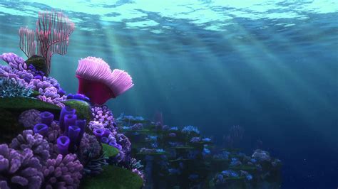 Finding Nemo Backgrounds 59 Images
