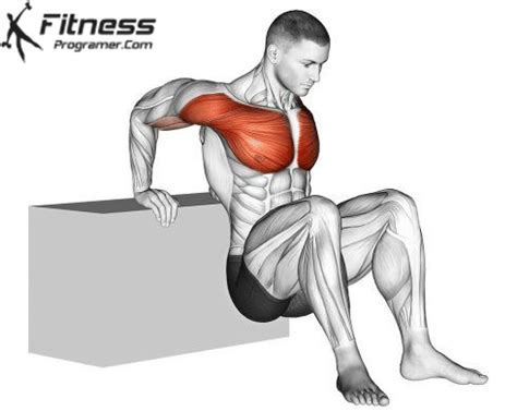 Reverse Chest Stretch Workout Planner