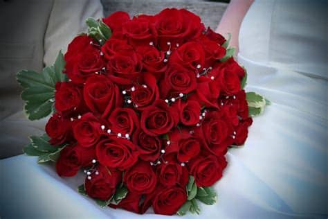 How do i set my whatsapp dp. Rose Day Images for Whatsapp DP, Profile Wallpapers - Free ...