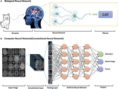 11003122804533909673convolutional Neural Network Cnn Based Deep