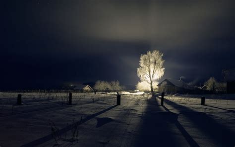 Beautiful Winter Landscape At Night With A Shining Tree
