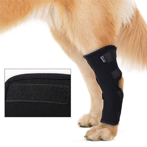 1pc Dog Legs Hind Protector Pet Hock Brace Pet Knee Pads Recover Injury