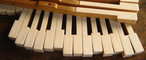 Is It Unethical To Have A Piano With Ivory Keys