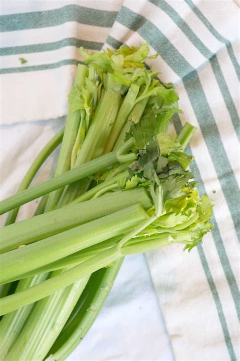 What that means is that the chewing one does to eat the celery actually burns more. How long is celery good for? And how to keep it longer ...