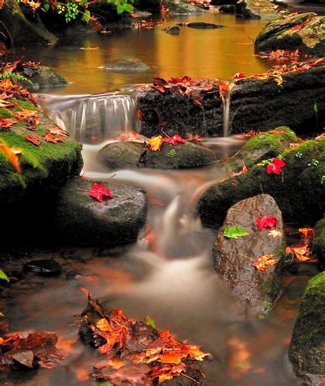 Gentle Cascades Of Autumn By Thomas Schoeller Luoghi Luoghi Da Visitare
