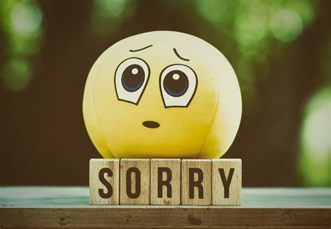 What Do You Do When Someone Apologizes For Something Theyve Done